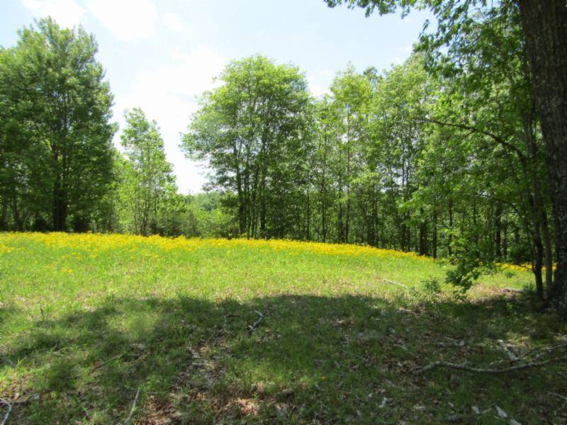 Hilham, TN 38568,Lot 11 Western WAY