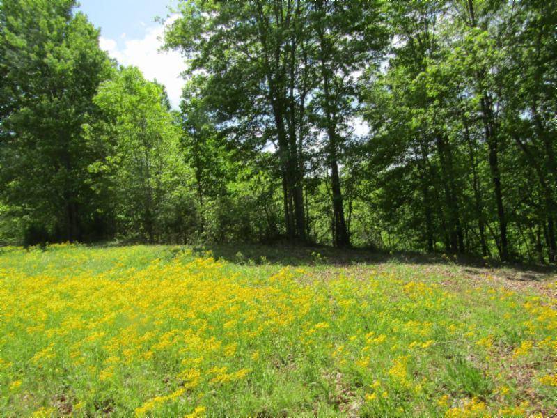 Hilham, TN 38568,Lot 11 Western WAY