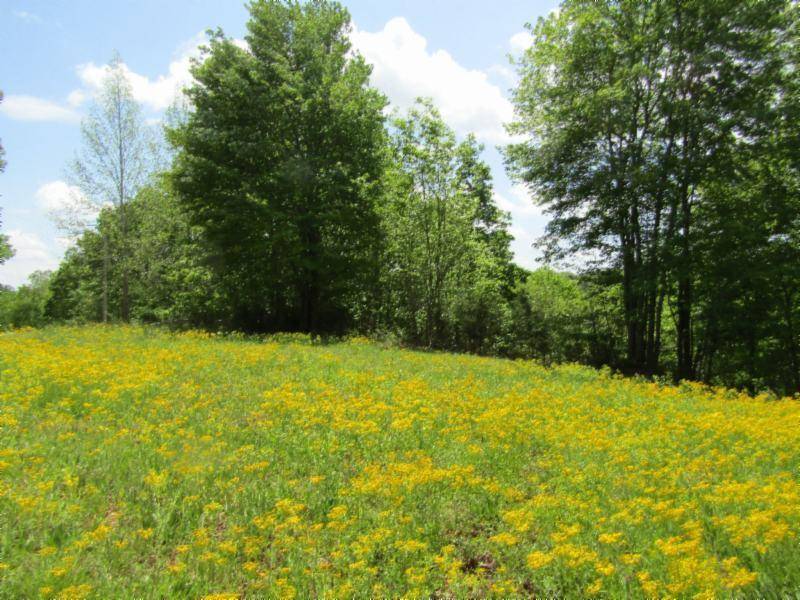 Hilham, TN 38568,Lot 11 Western WAY