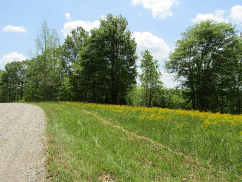 Hilham, TN 38568,Lot 11 Western WAY