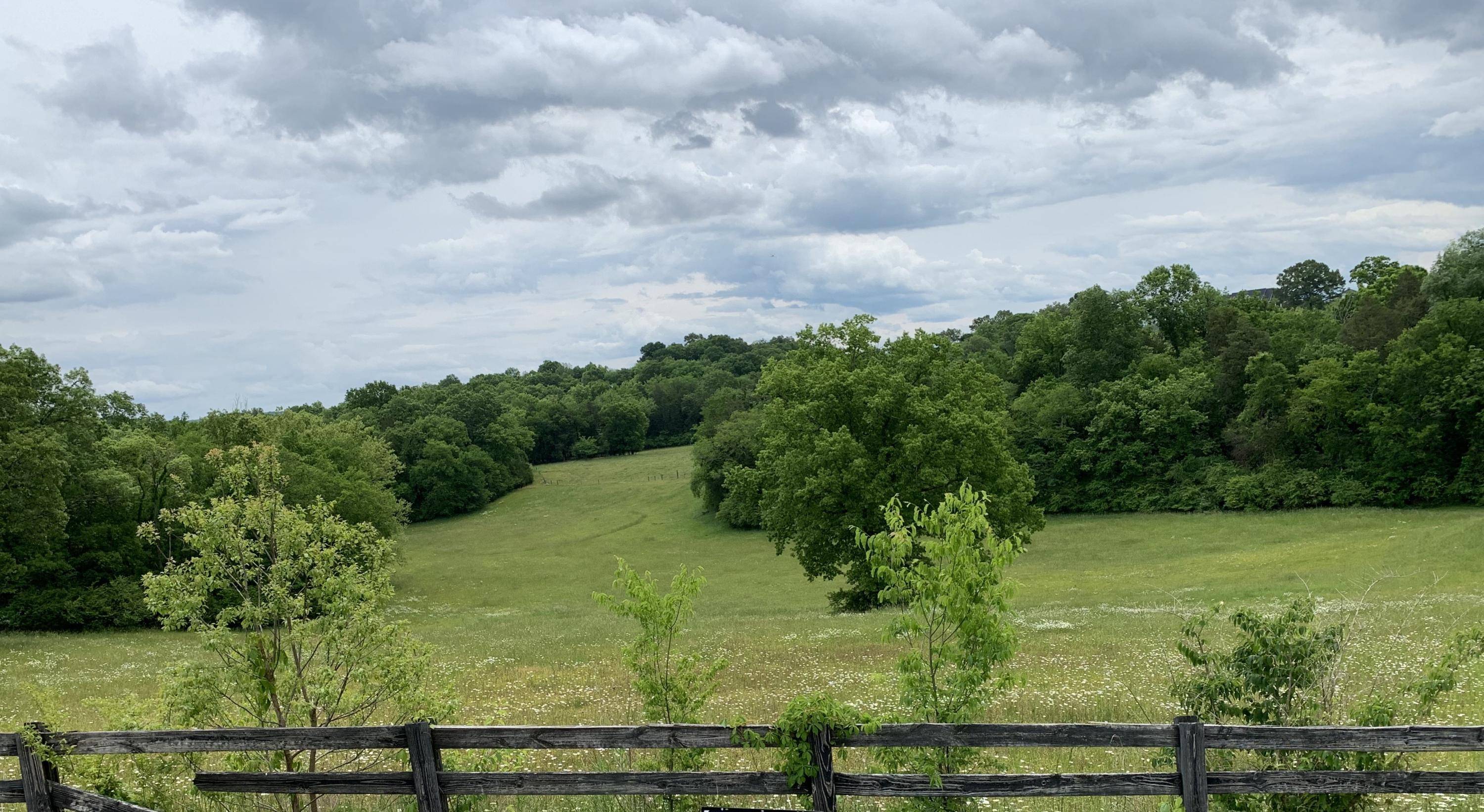 Blaine, TN 37709,Lot 43 Richland Rd