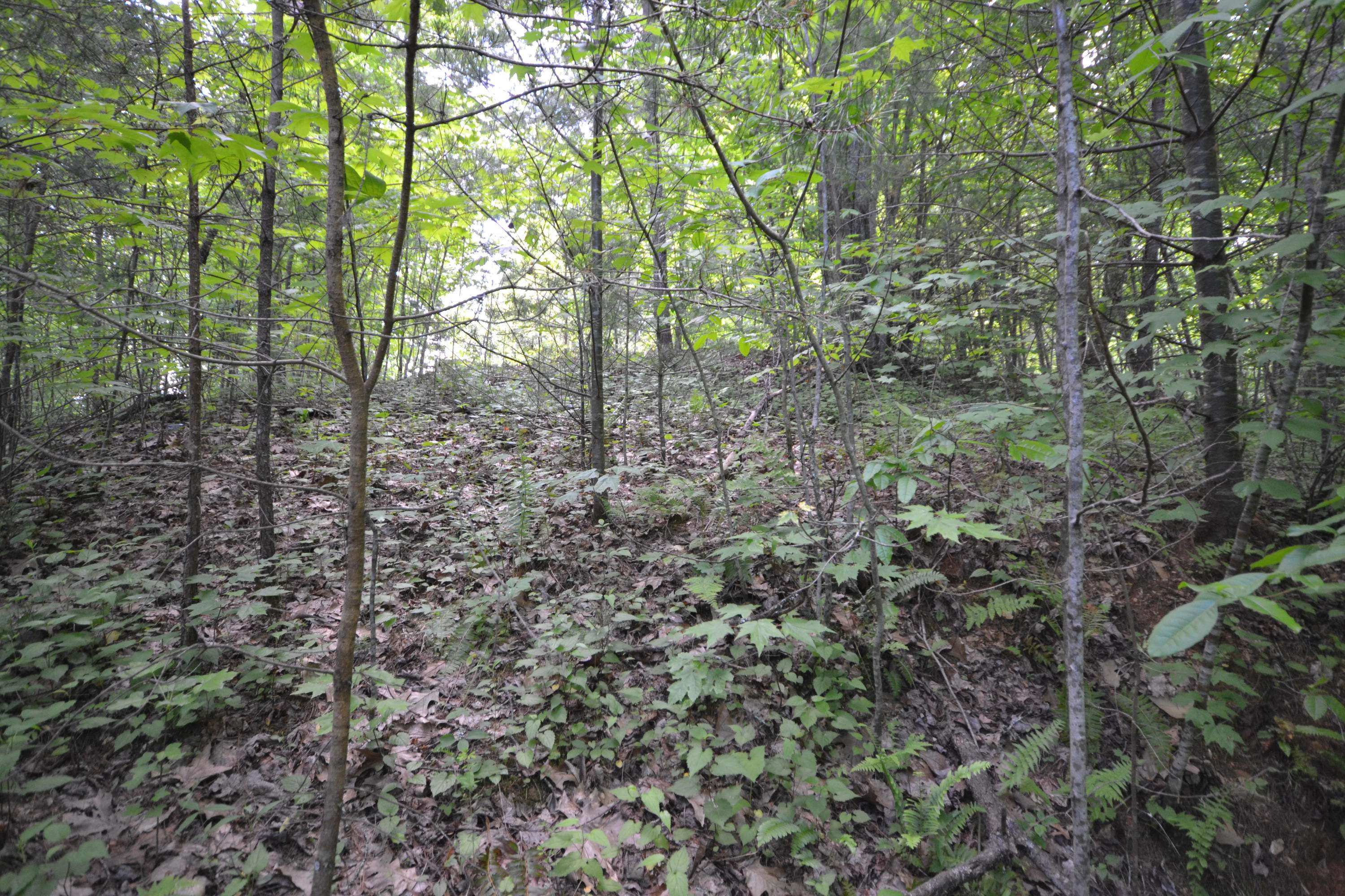 Sevierville, TN 37876,Lot 66 Riversong WAY