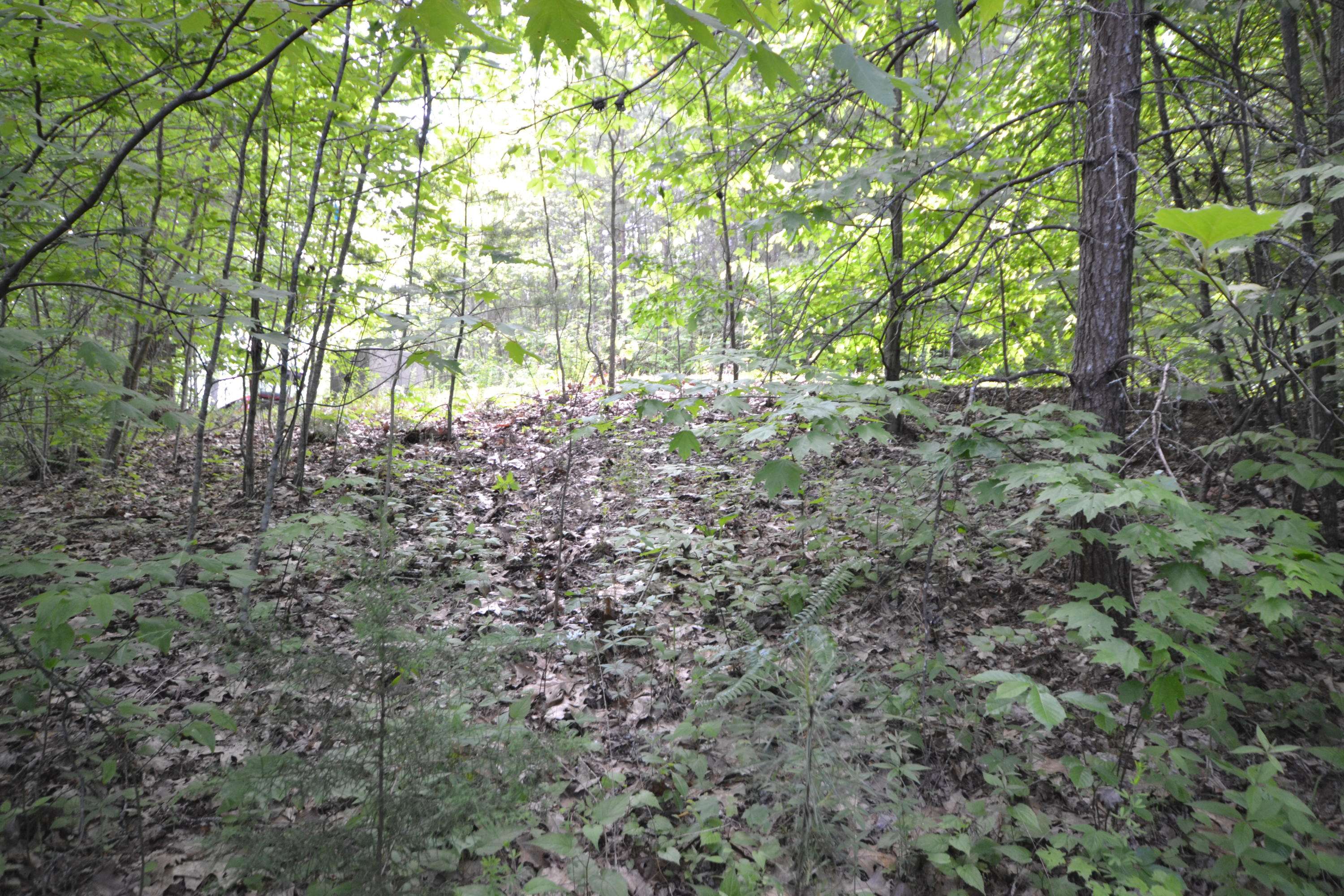 Sevierville, TN 37876,Lot 66 Riversong WAY