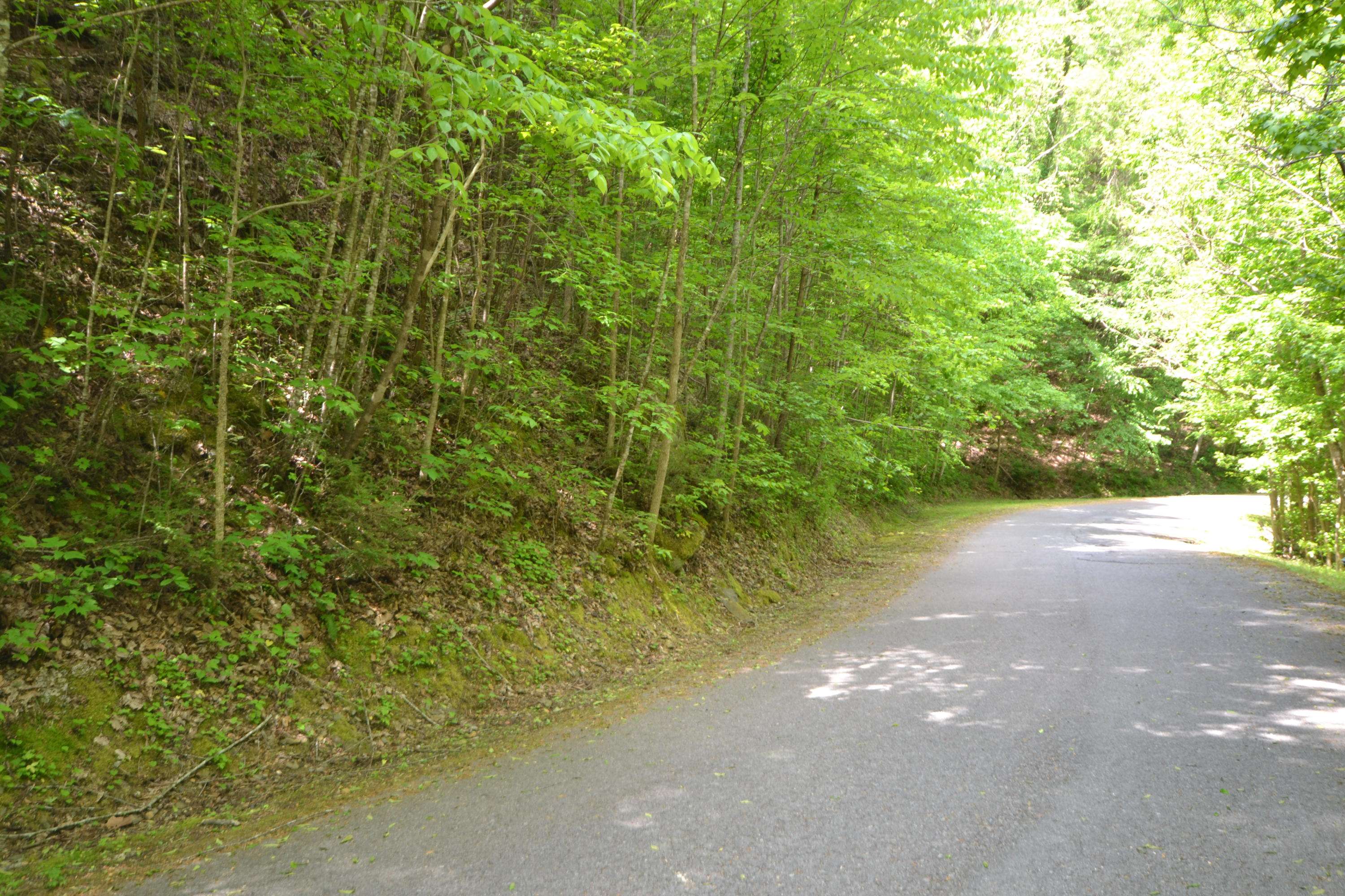 Sevierville, TN 37876,Lots 45-47 Riversong WAY