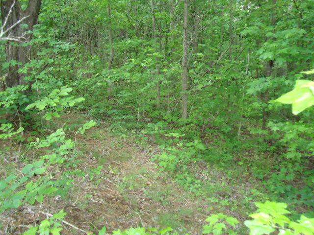 Celina, TN 38551,7.92 Ac Star Point Road