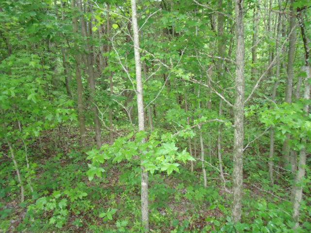 Celina, TN 38551,7.92 Ac Star Point Road