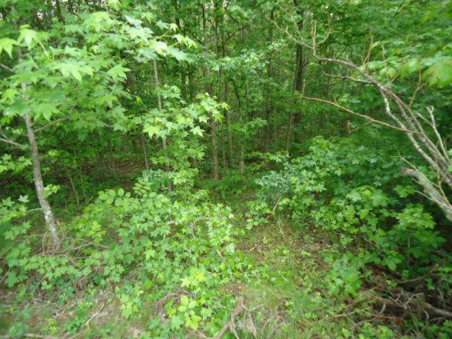 Celina, TN 38551,7.92 Ac Star Point Road