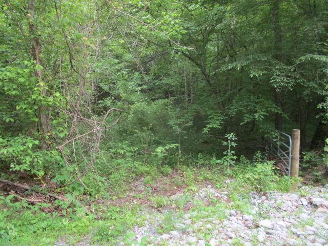 Rutledge, TN 37861,Corbin Lake Rd