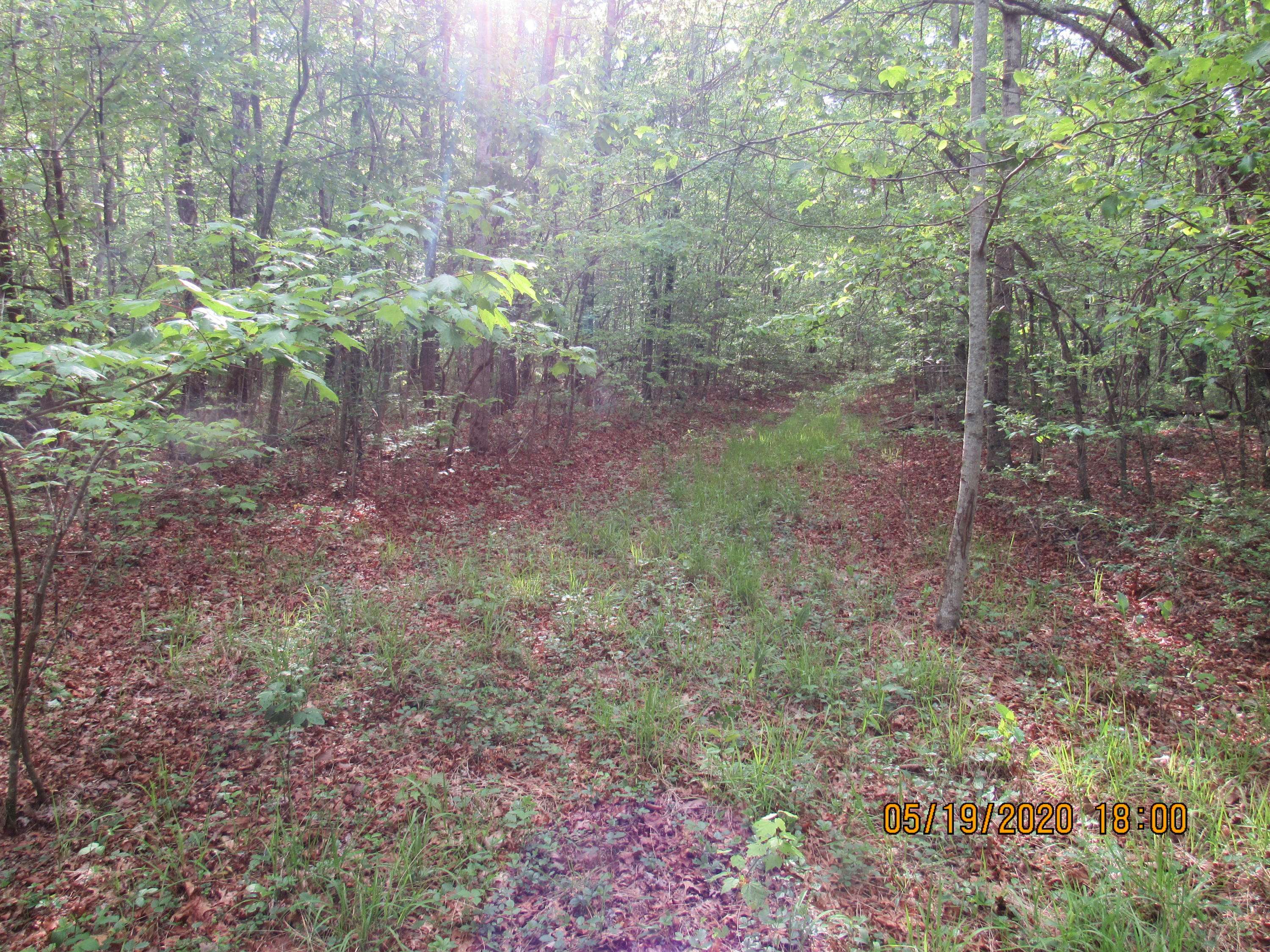 Sunbright, TN 37872,42 AC Coon Hollow Rd