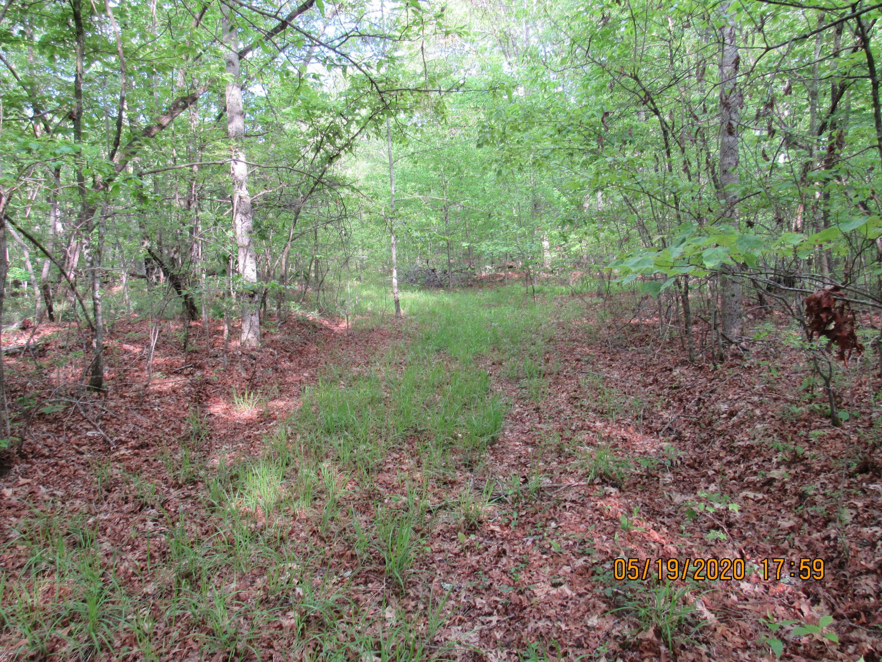 Sunbright, TN 37872,42 AC Coon Hollow Rd