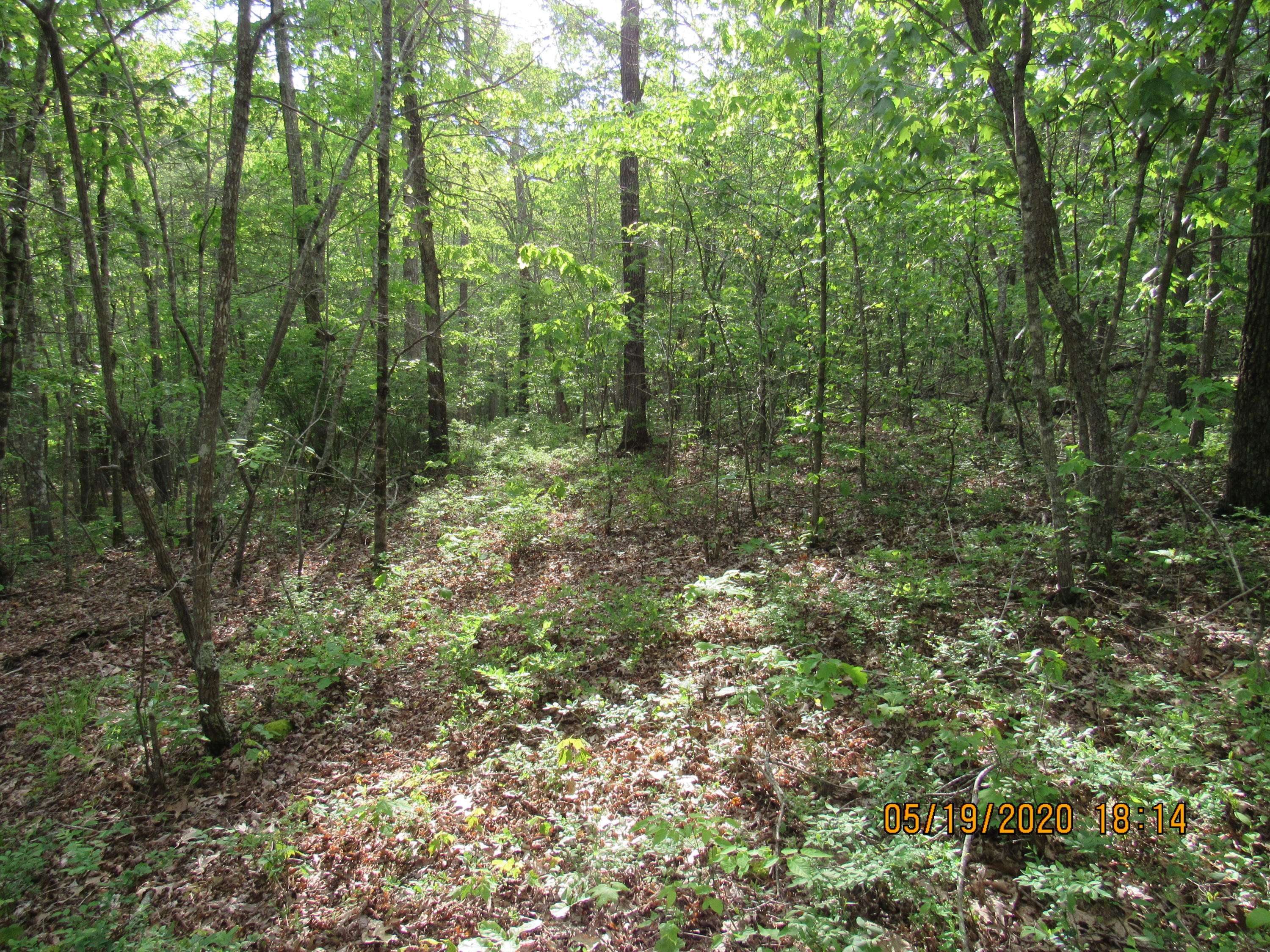 Sunbright, TN 37872,42 AC Coon Hollow Rd