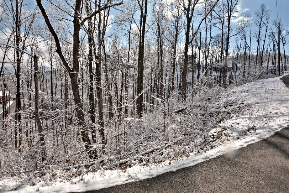 Gatlinburg, TN 37738,Lot 380 Chestnut DR