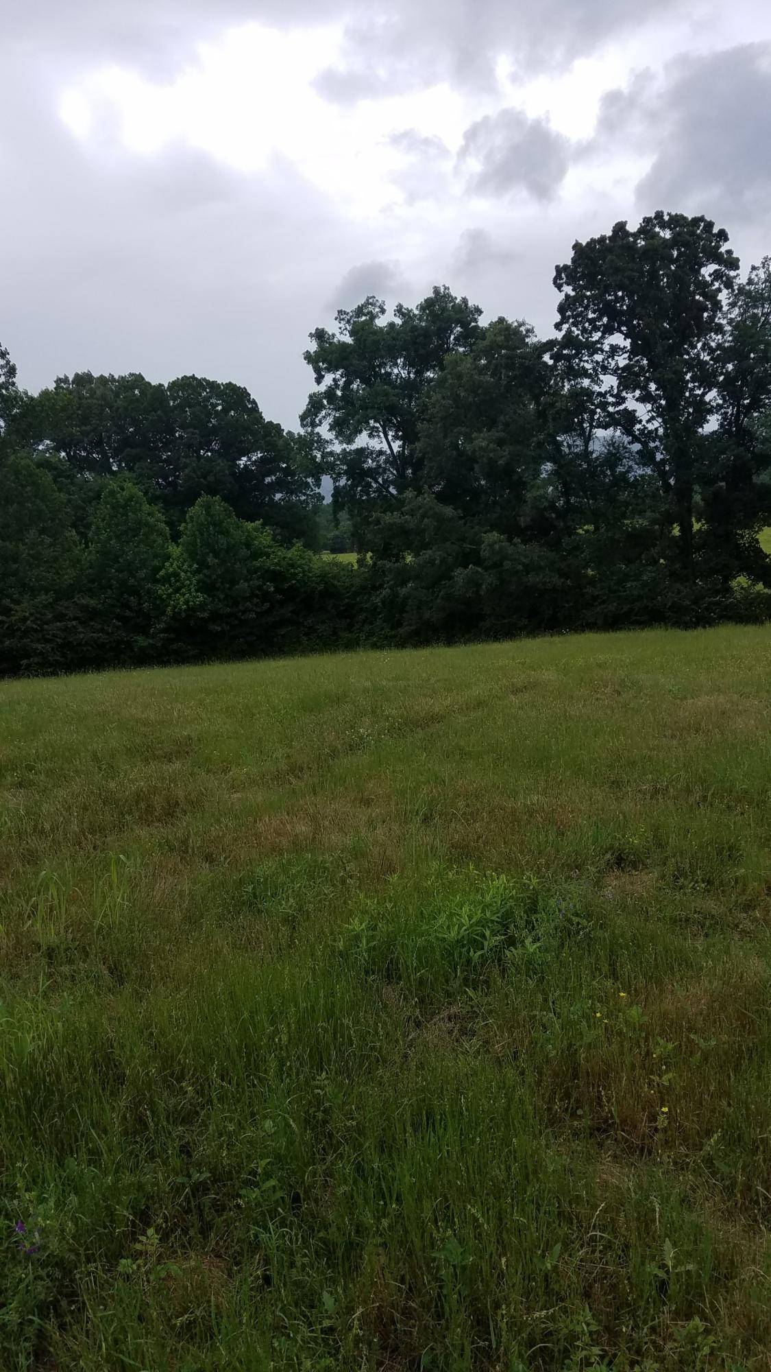 Etowah, TN 37331,1000 Co Rd 660