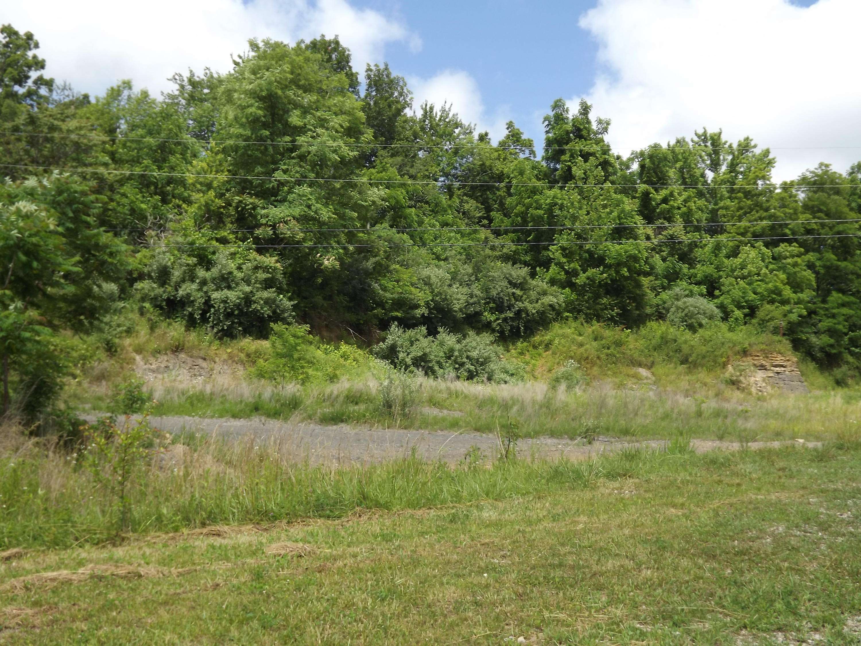 Oneida, TN 37841,Commercial Potential Hwy 27