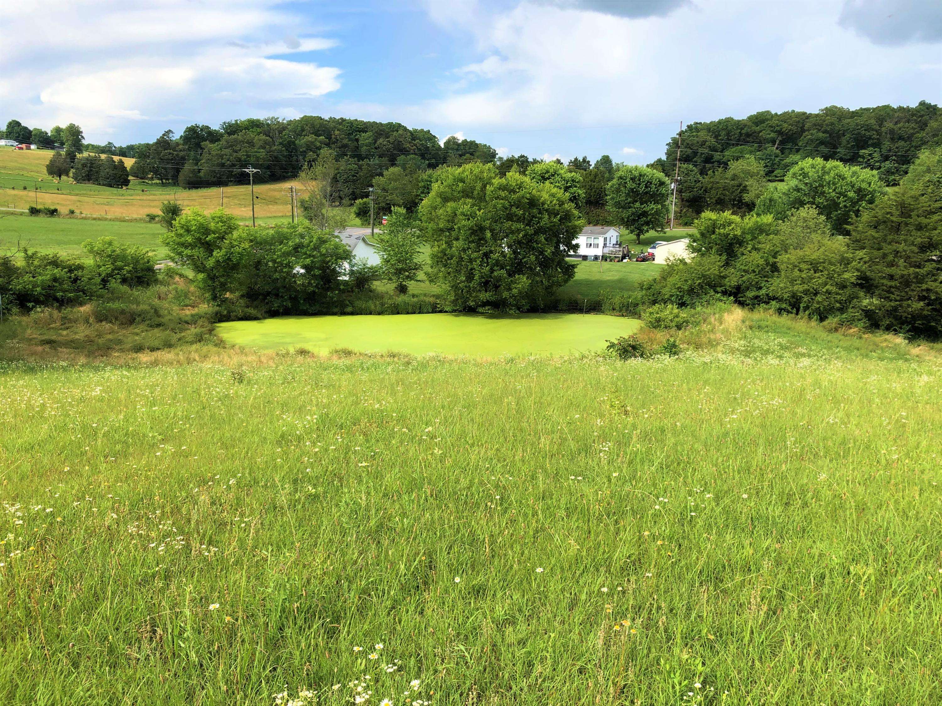 Dandridge, TN 37725,Lot 13 Chestnut Grove Rd