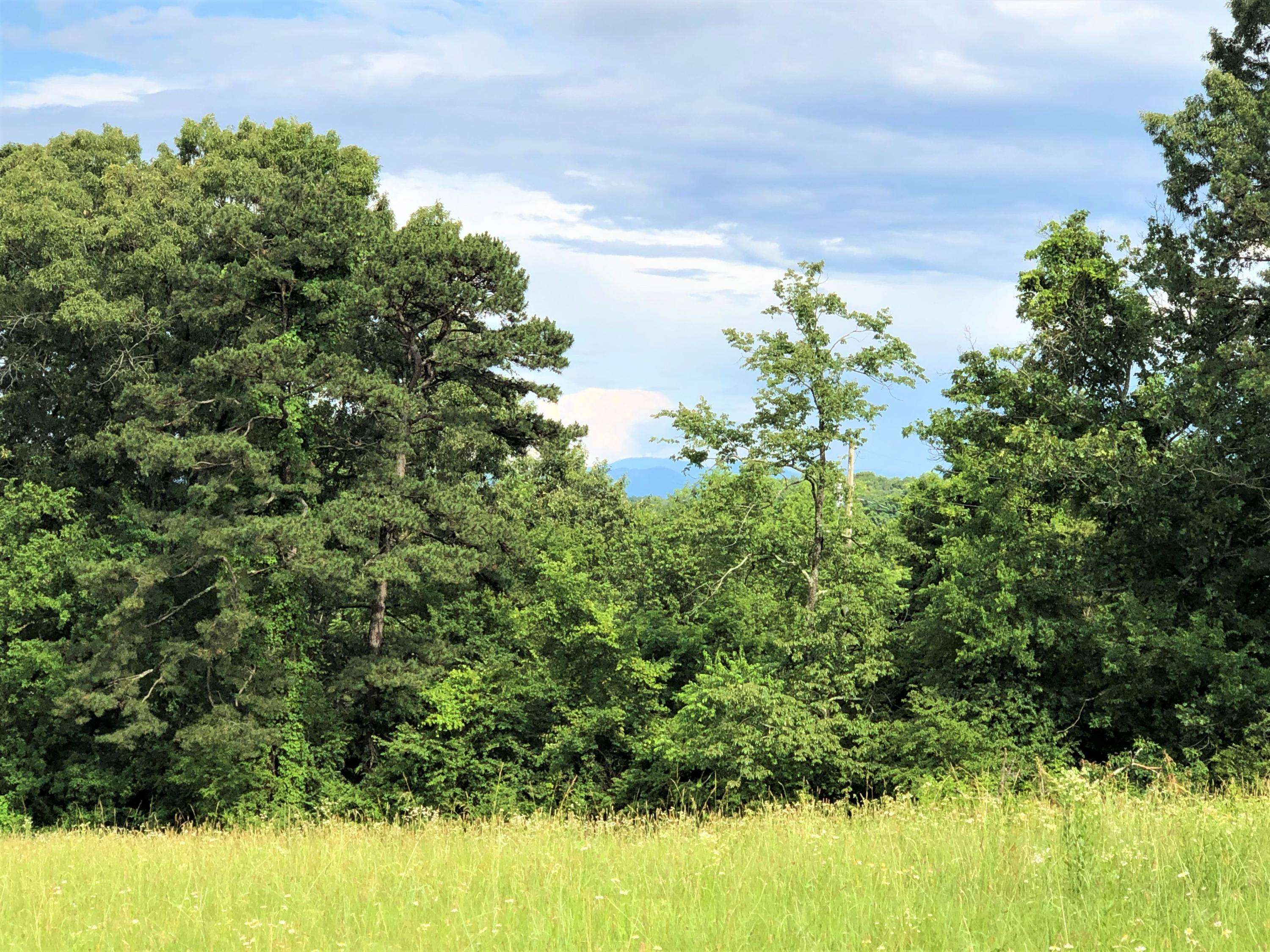 Dandridge, TN 37725,Lot 13 Chestnut Grove Rd