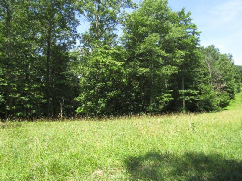 Hilham, TN 38568,Lot 4 Western WAY