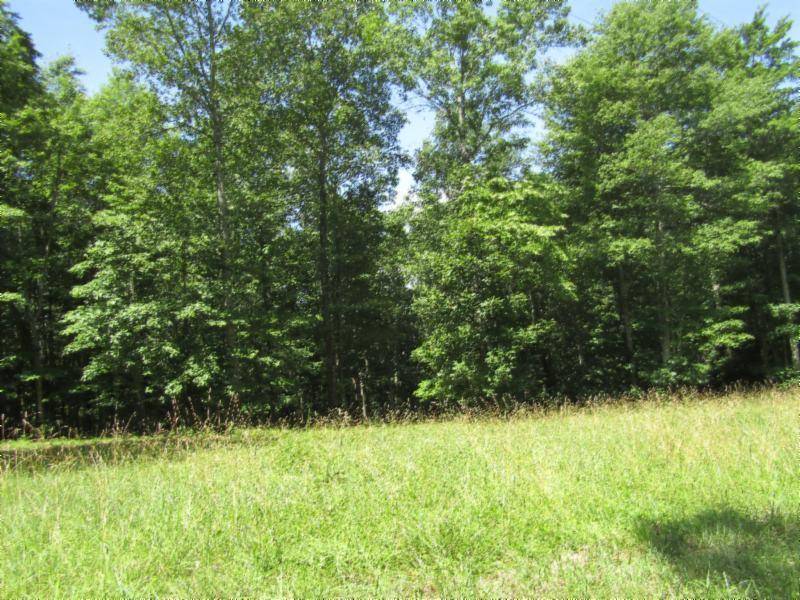 Hilham, TN 38568,Lot 4 Western WAY