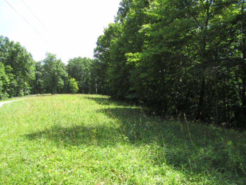 Hilham, TN 38568,Lot 5 & 6 Western WAY