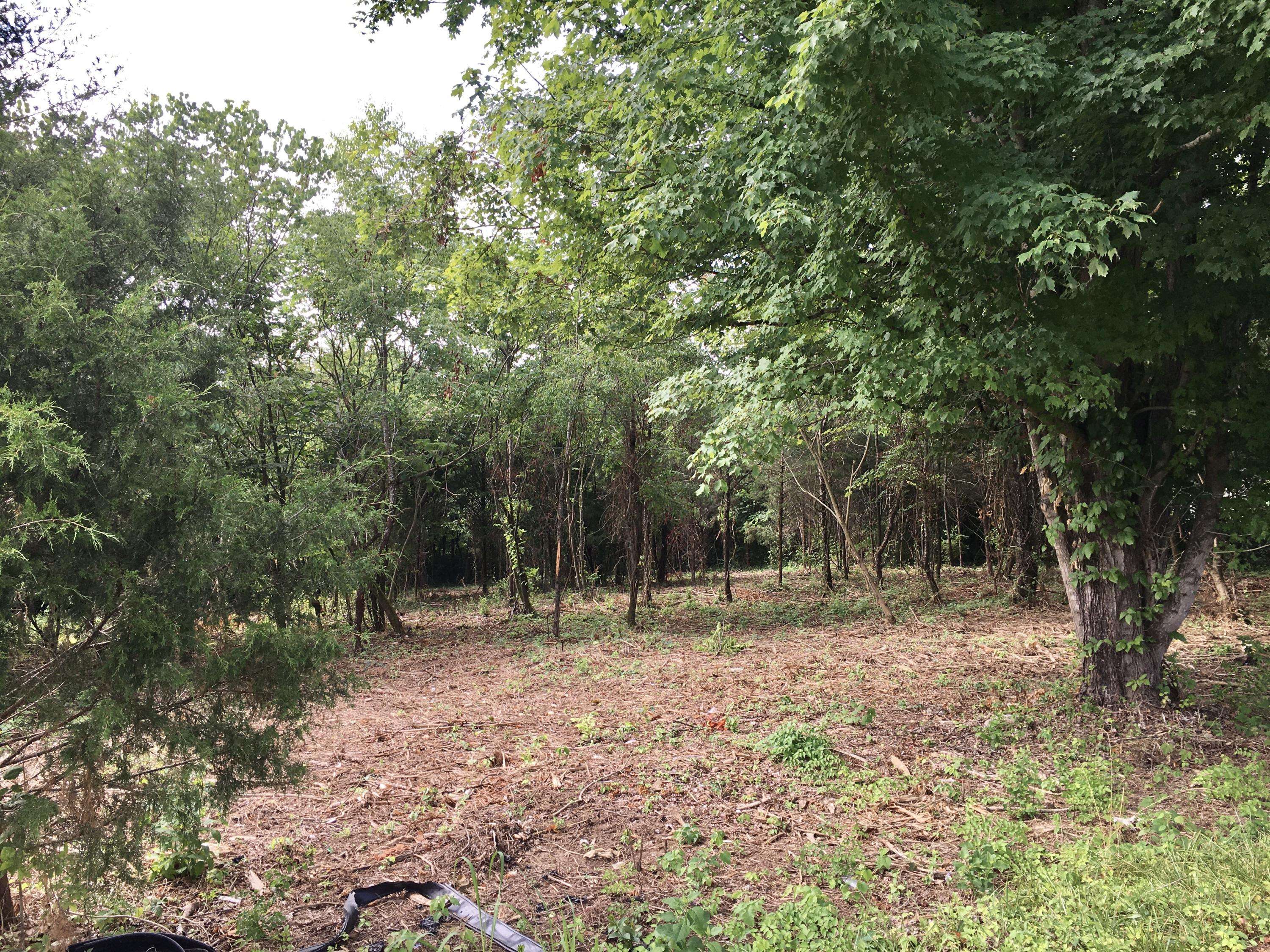 Strawberry Plains, TN 37871,Lot 24 Maple Ave