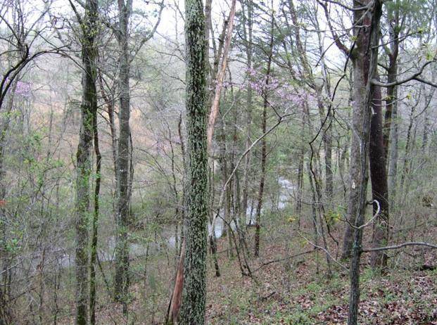 Birchwood, TN 37308,Lot 18 Watauga LN