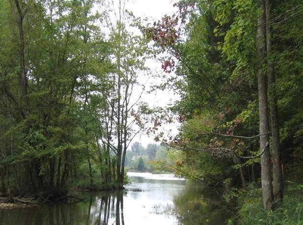 Birchwood, TN 37308,Lot 20 Watauga LN