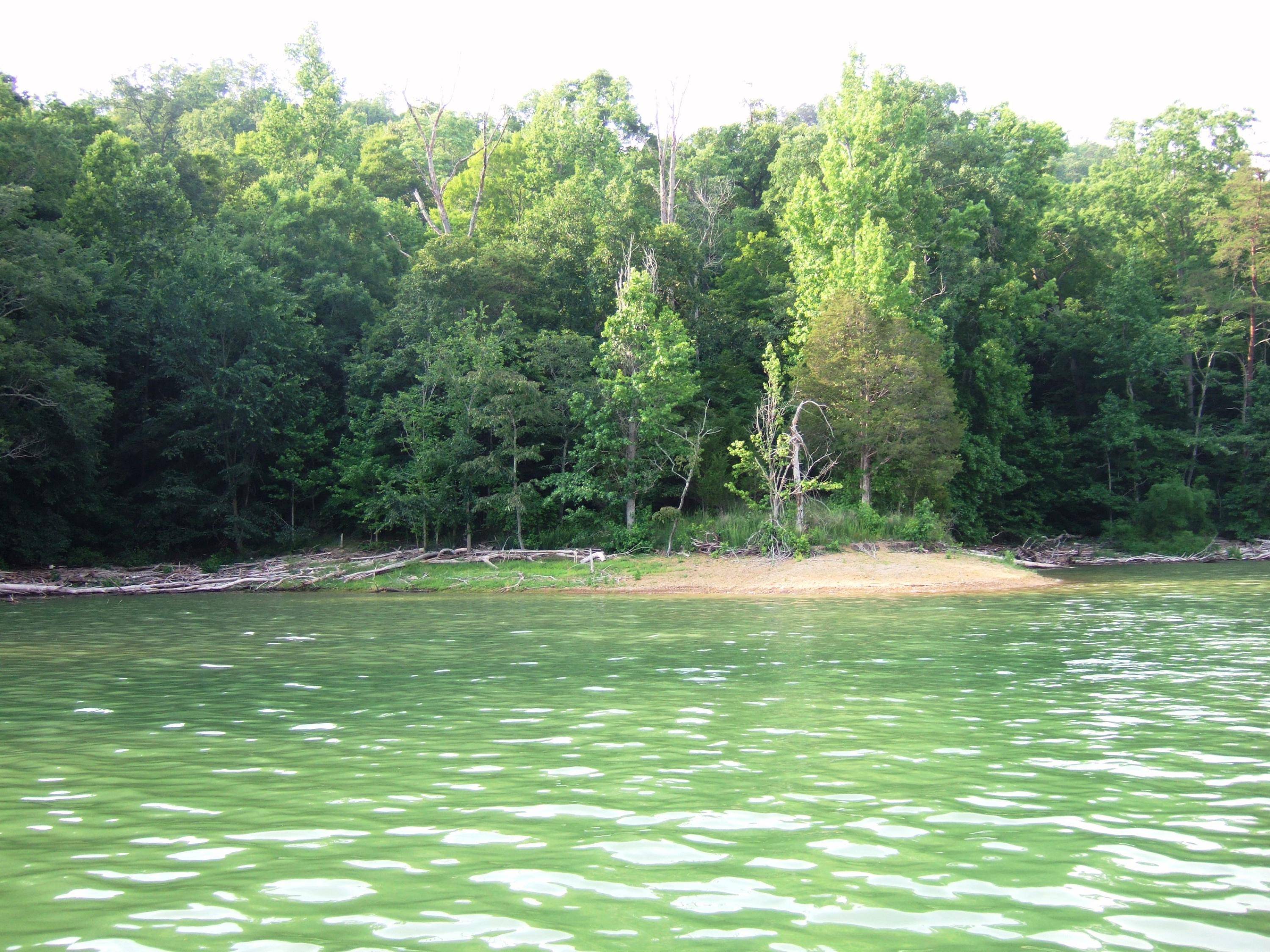 New Tazewell, TN 37824,Lot 50 Mountain Shores Road