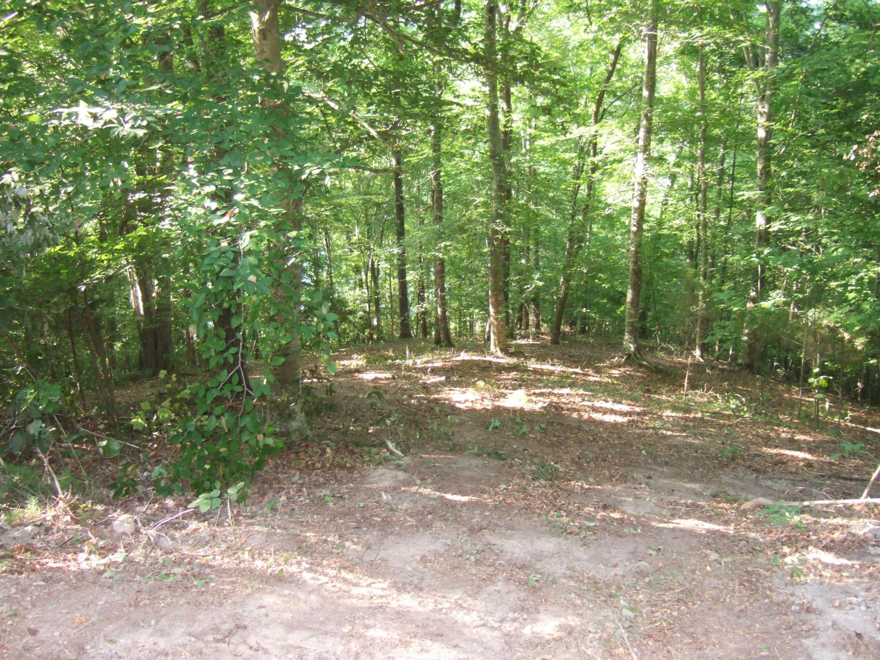 New Tazewell, TN 37824,Lot 50 Mountain Shores Road