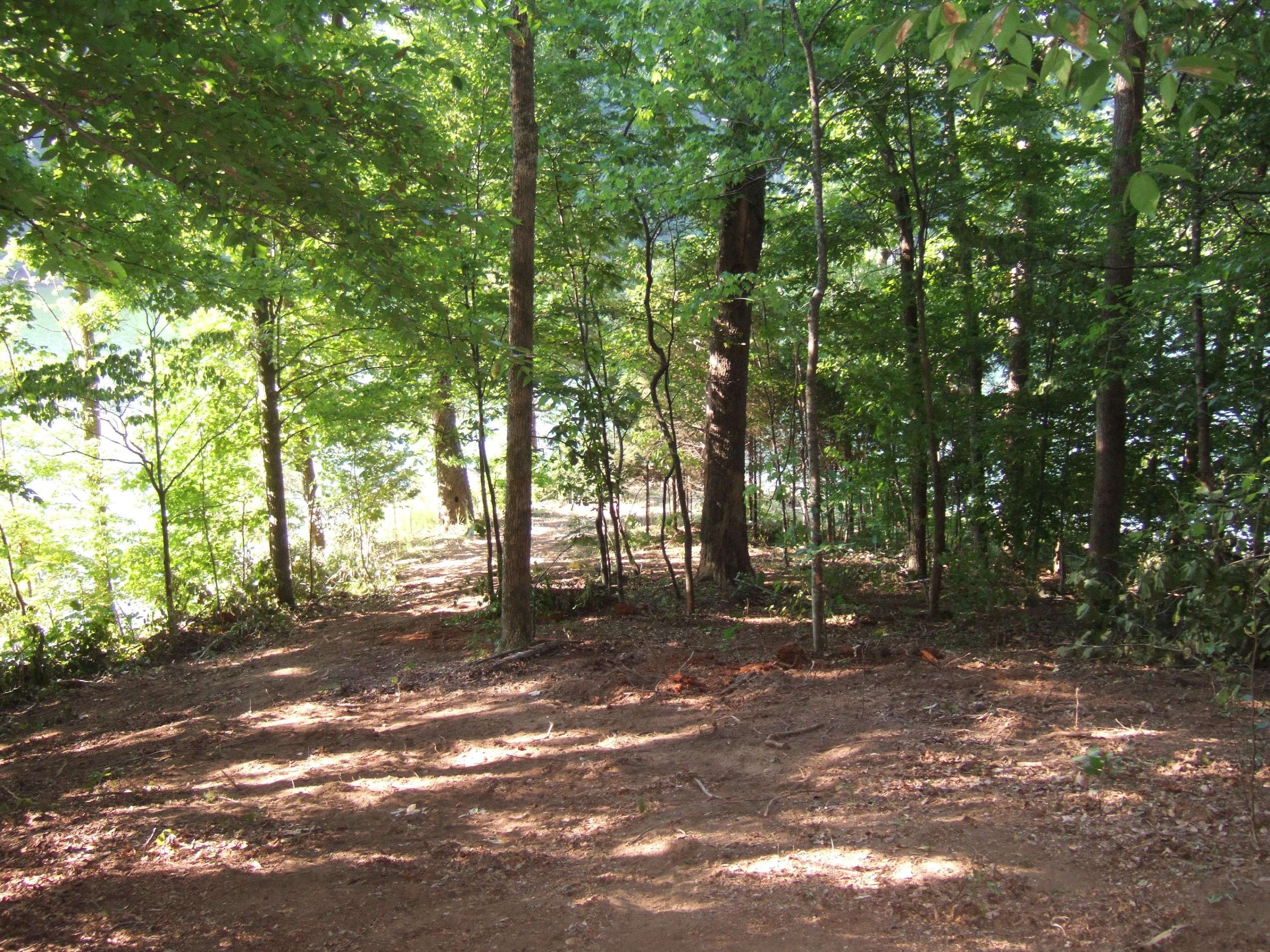 New Tazewell, TN 37824,Lot 50 Mountain Shores Road