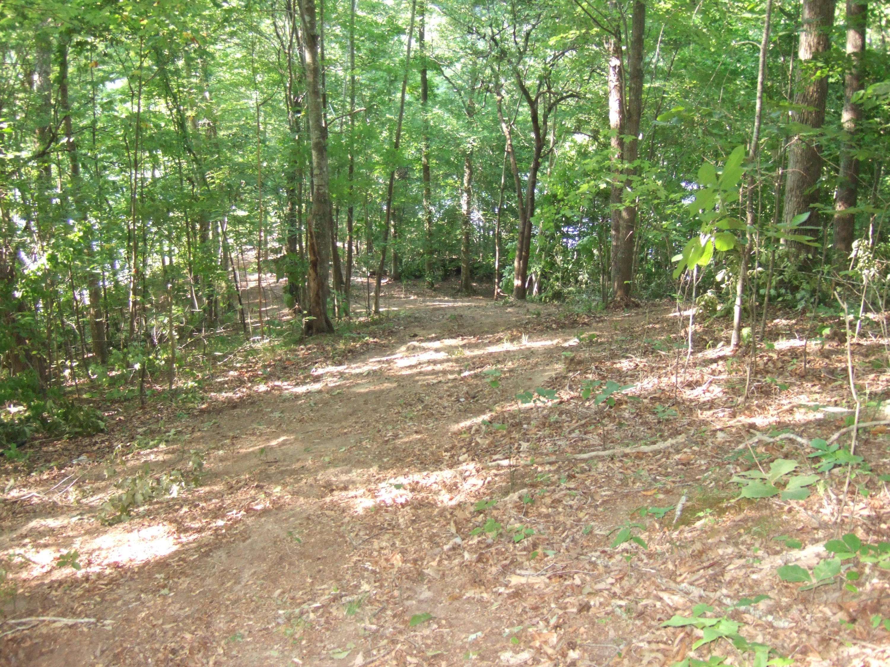 New Tazewell, TN 37824,Lot 50 Mountain Shores Road