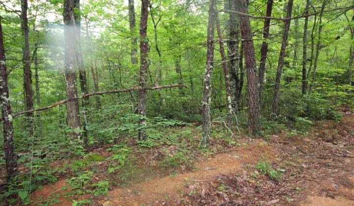 Townsend, TN 37882,Lot 13 Little Mtn. WAY