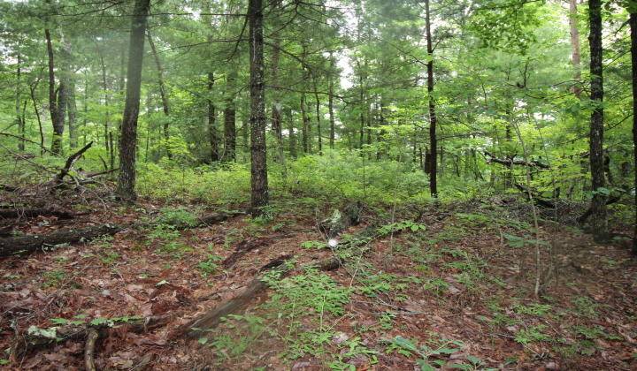 Townsend, TN 37882,Lot 13 Little Mtn. WAY