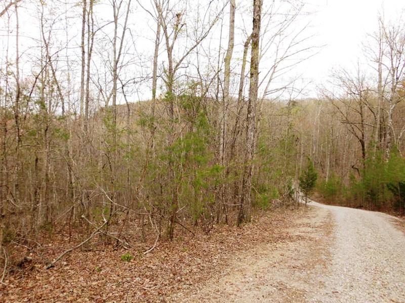 Tellico Plains, TN 37385,Off Mecca PIKE