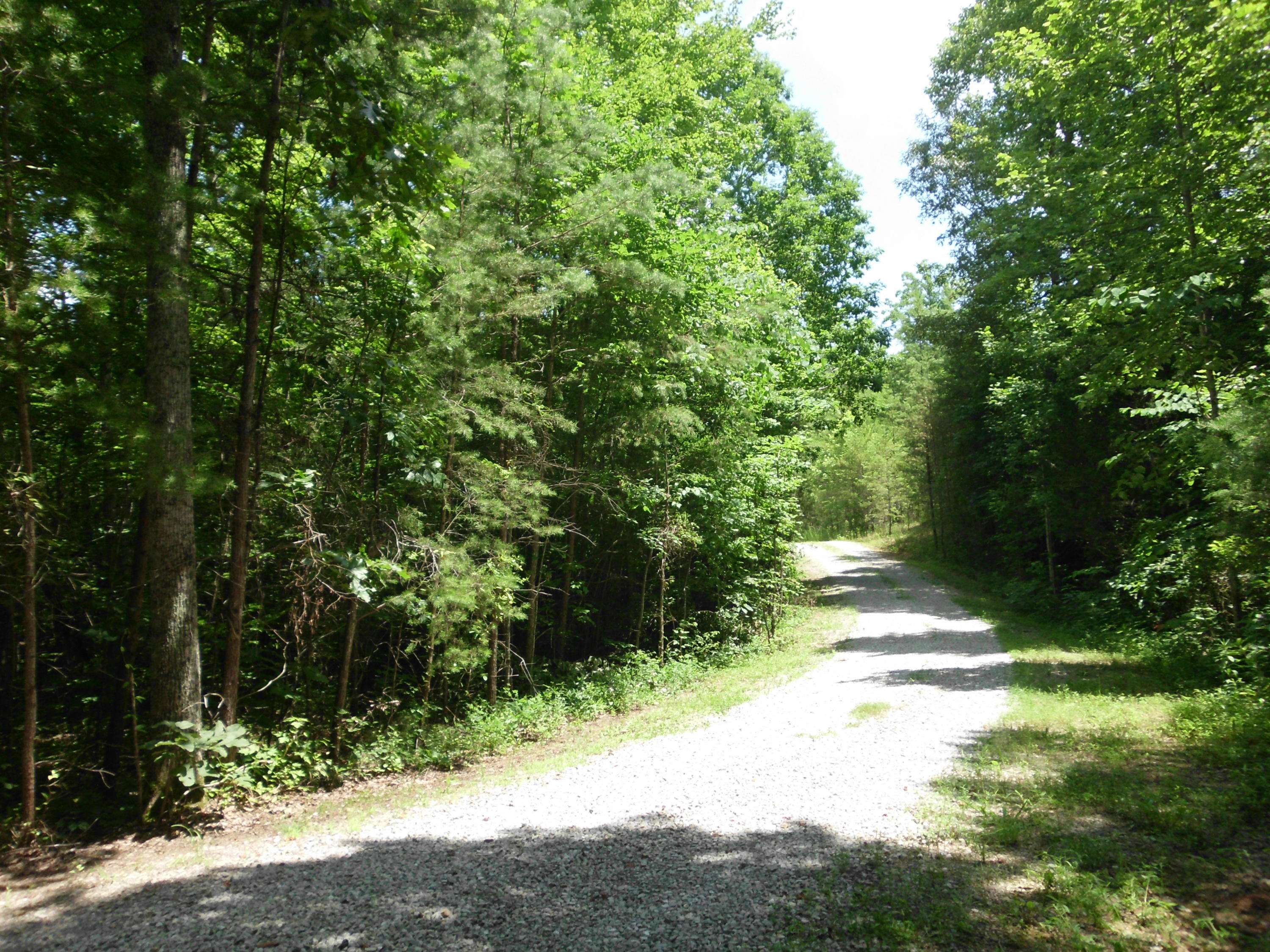 Tellico Plains, TN 37385,Off Mecca PIKE