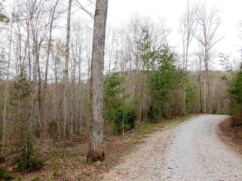 Tellico Plains, TN 37385,Off Mecca PIKE