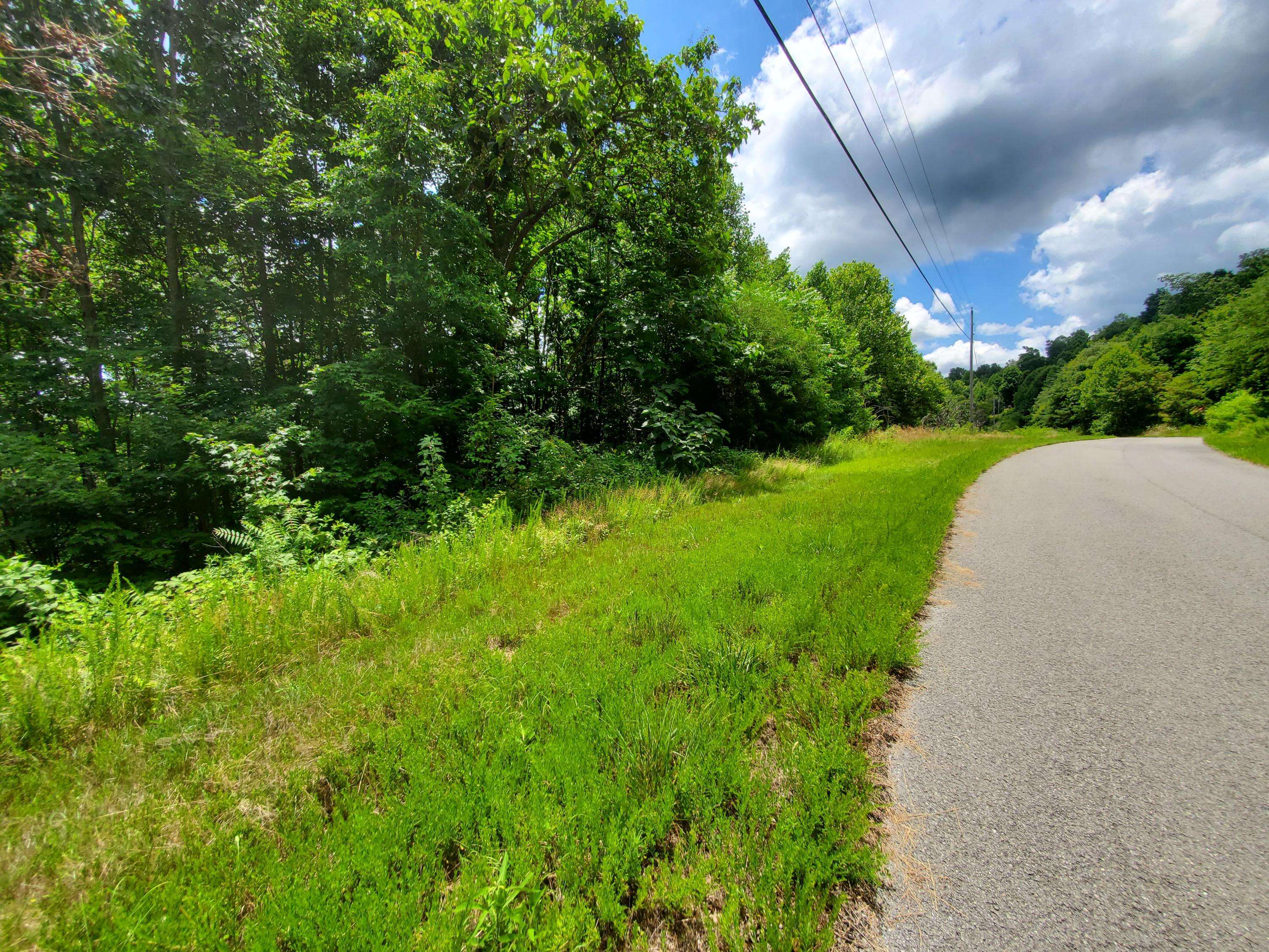 New Tazewell, TN 37825,Lot 168 Chimney Rock Rd