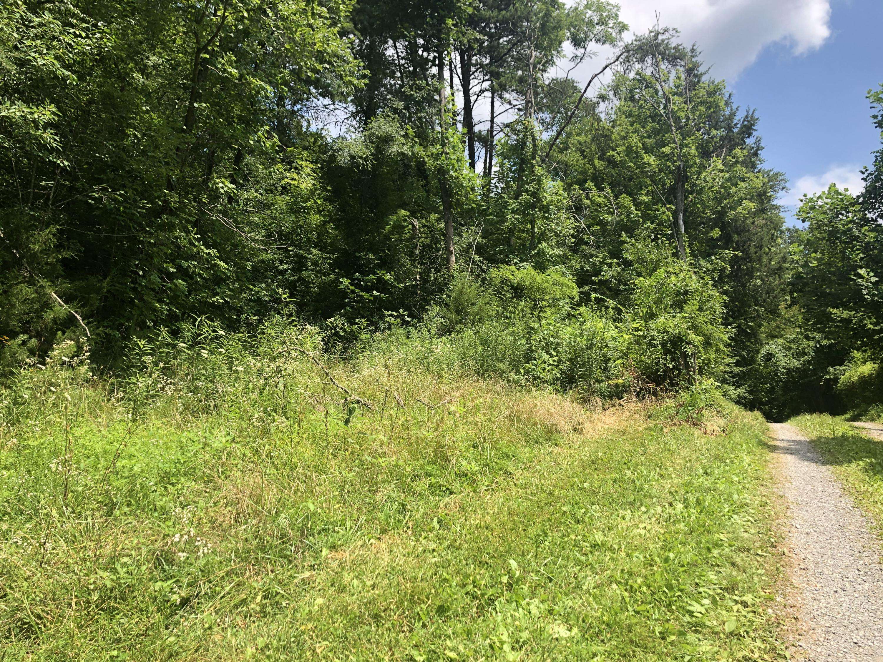 Thorn Hill, TN 37881,00 Mountain Loop