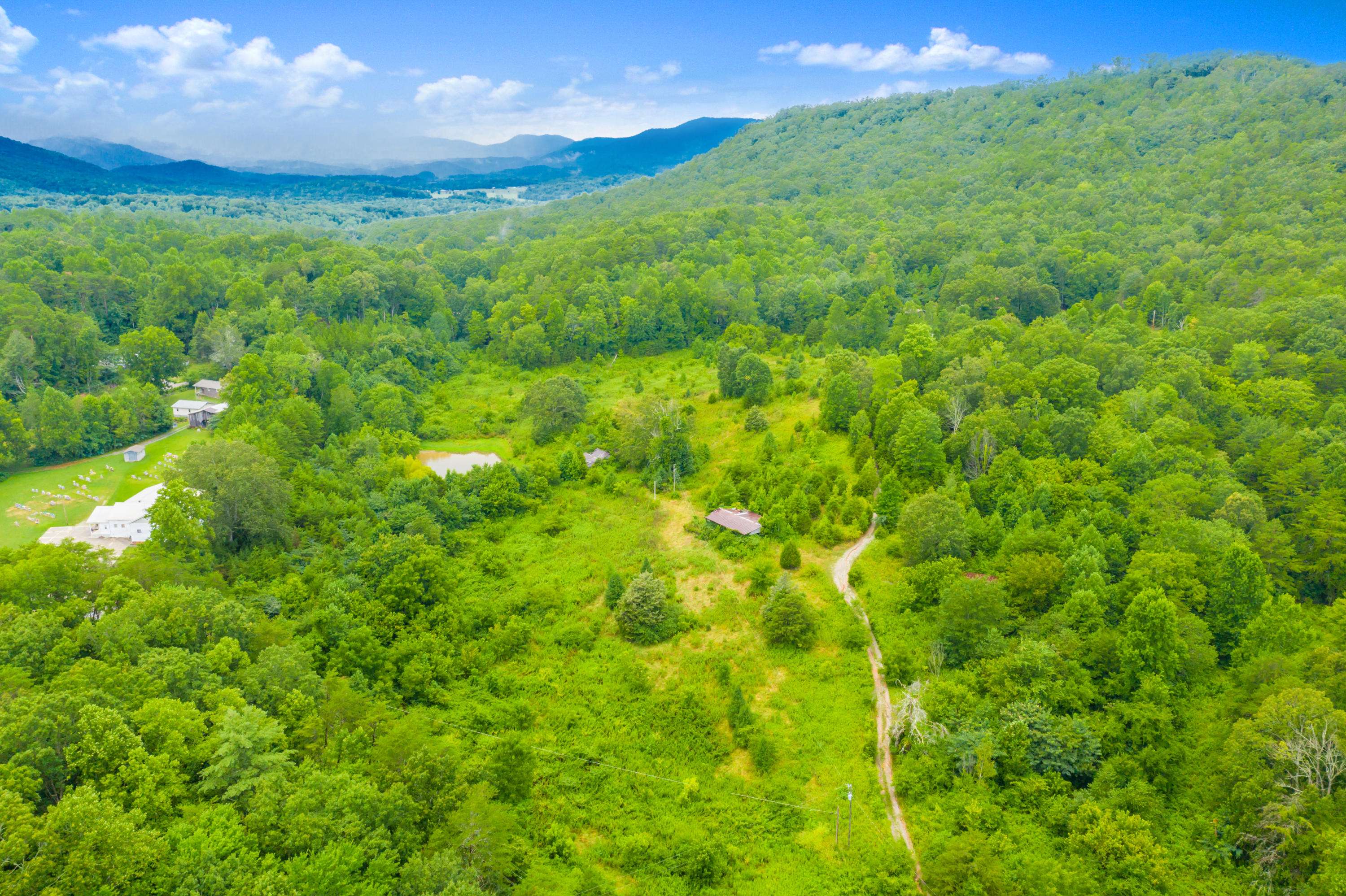 Tellico Plains, TN 37385,17.9 Ac Beatys Chapel Rd