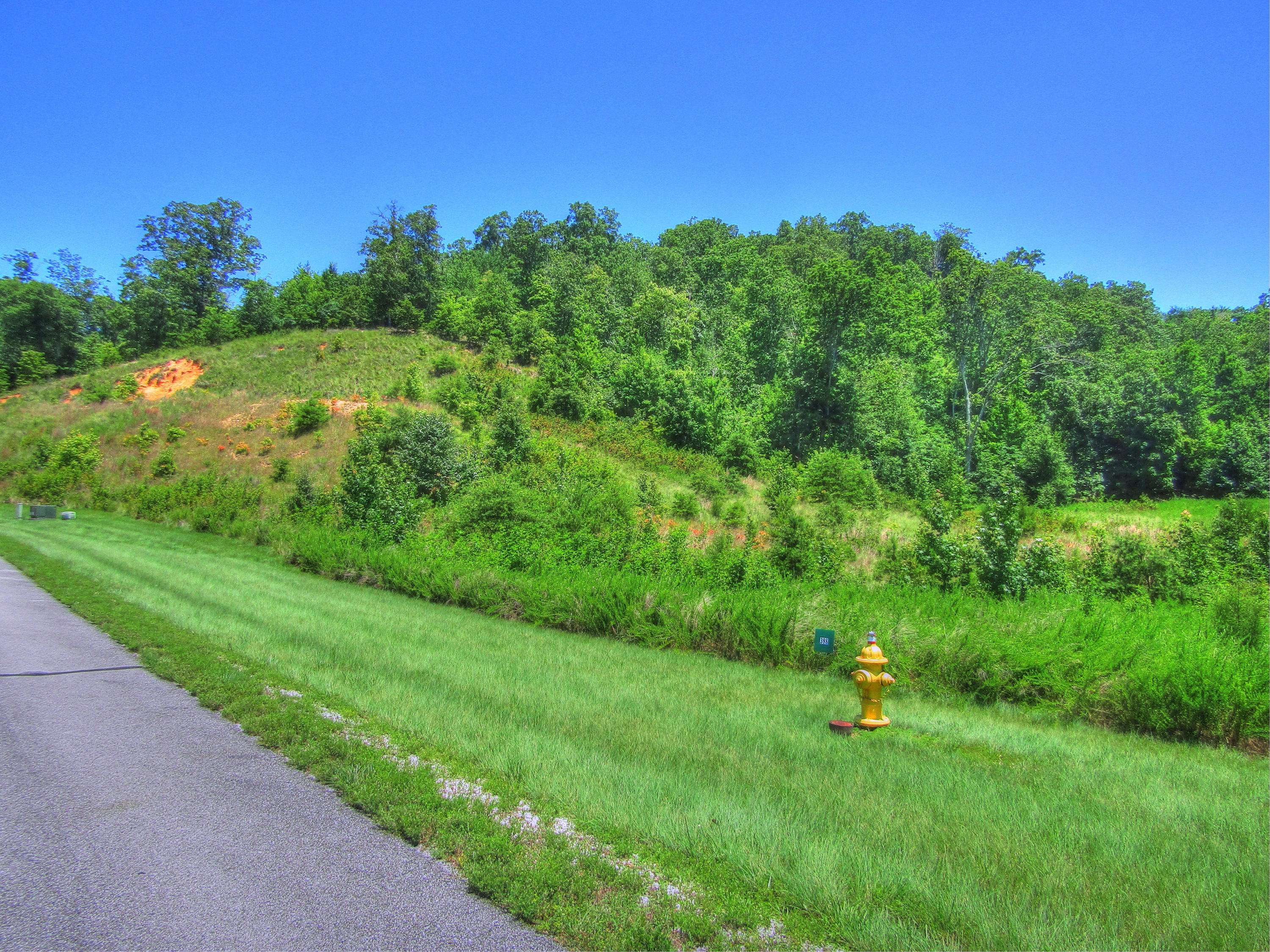 Rockwood, TN 37854,Lot 398 W Mountain DR