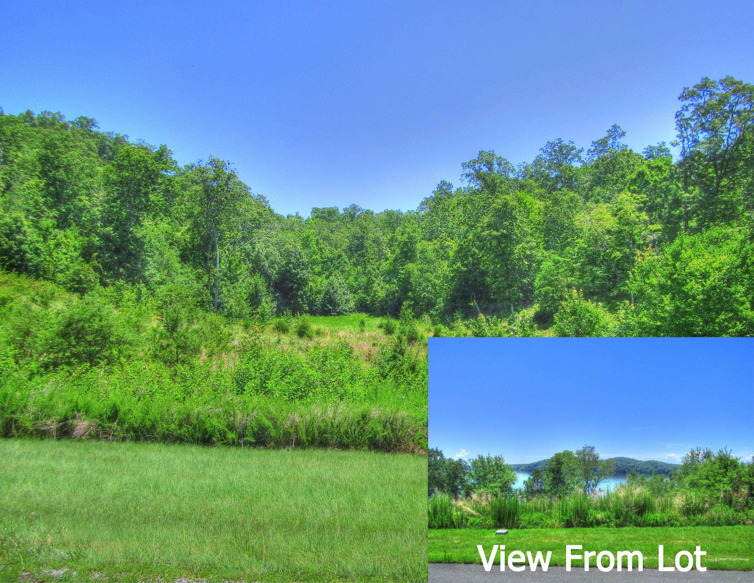 Rockwood, TN 37854,Lot 398 W Mountain DR