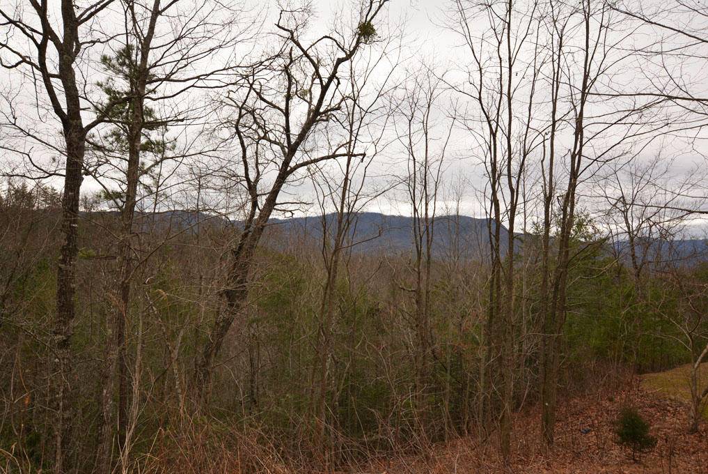 Gatlinburg, TN 37738,Lot 69 Big Bear Ridge Rd