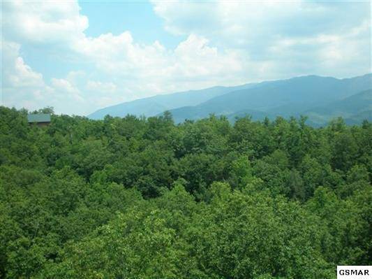 Gatlinburg, TN 37738,Lot 70 Big Bear Ridge Rd