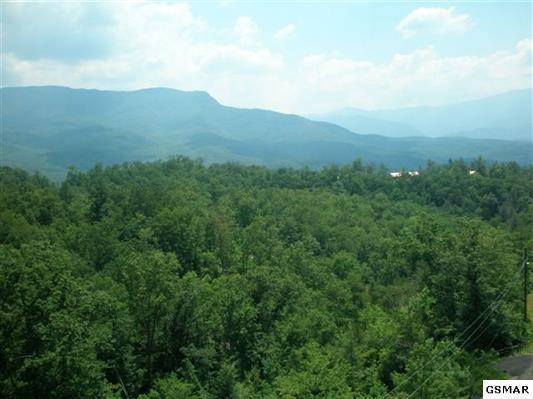 Gatlinburg, TN 37738,Lot 70 Big Bear Ridge Rd