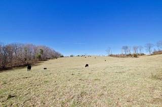 Greenback, TN 37742,Sheets Hollow Rd