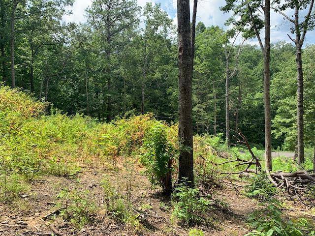 Sevierville, TN 37862,Lot 24 Pleasant View Ln LN