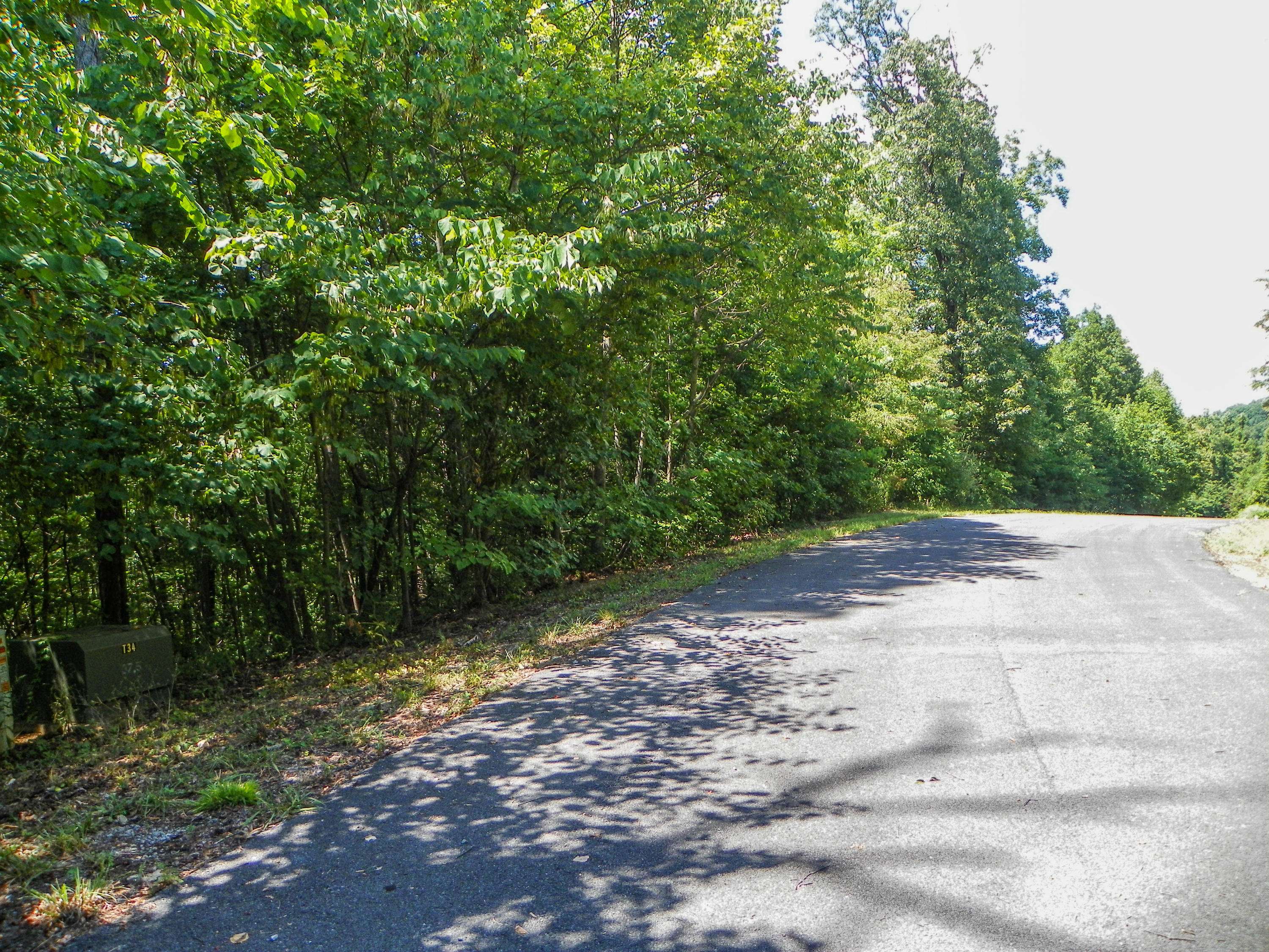 Cosby, TN 37722,Lot# 34 Stevia Way