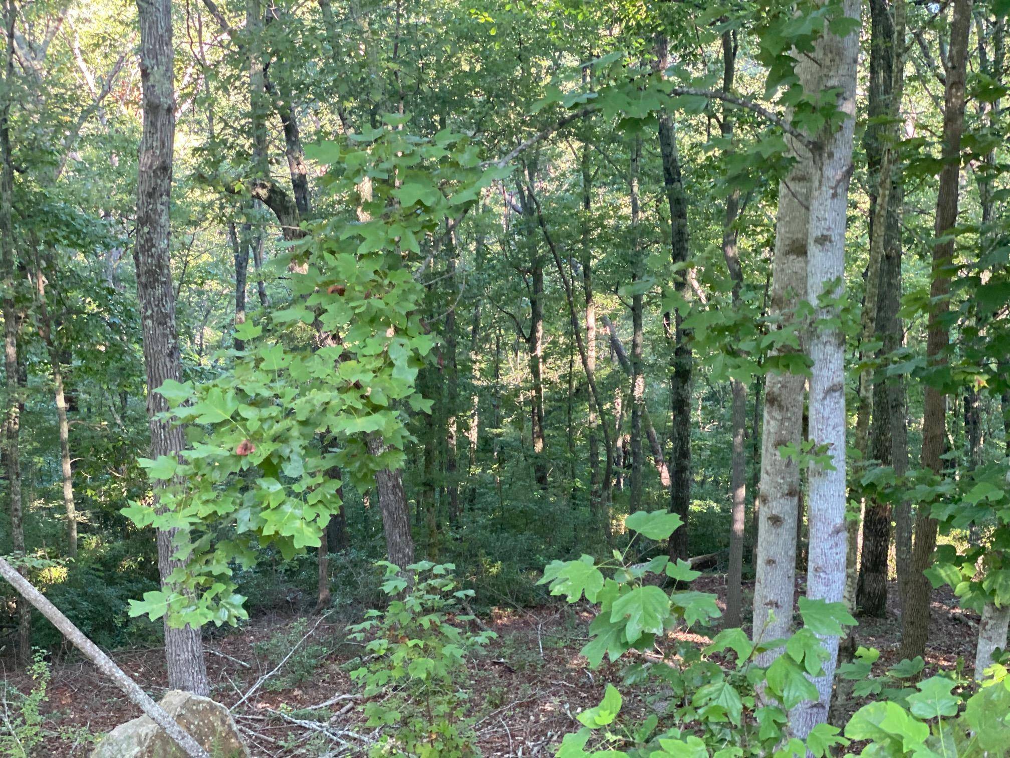 Rockwood, TN 37854,Lot 37 Eerie PT