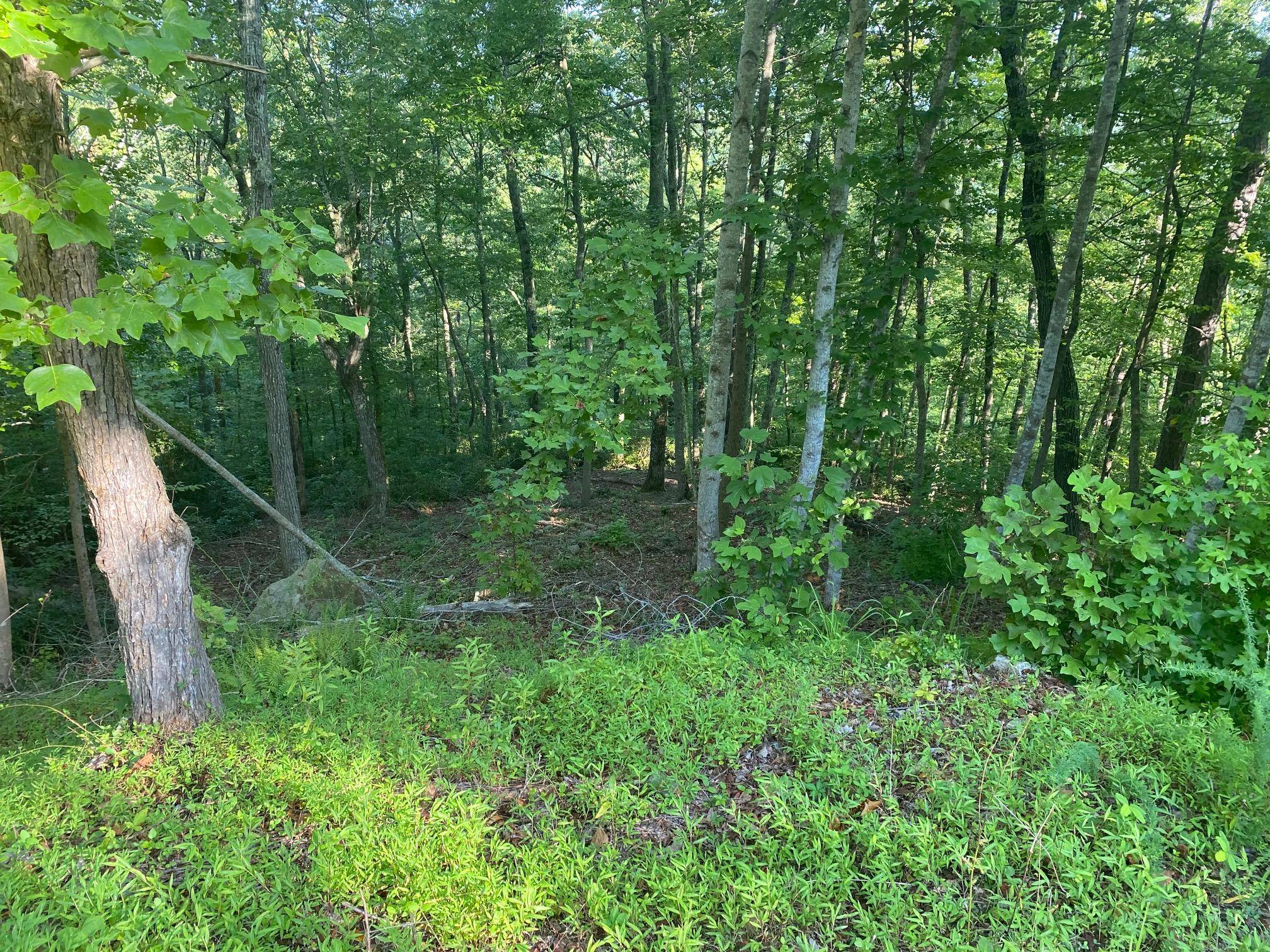 Rockwood, TN 37854,Lot 37 Eerie PT