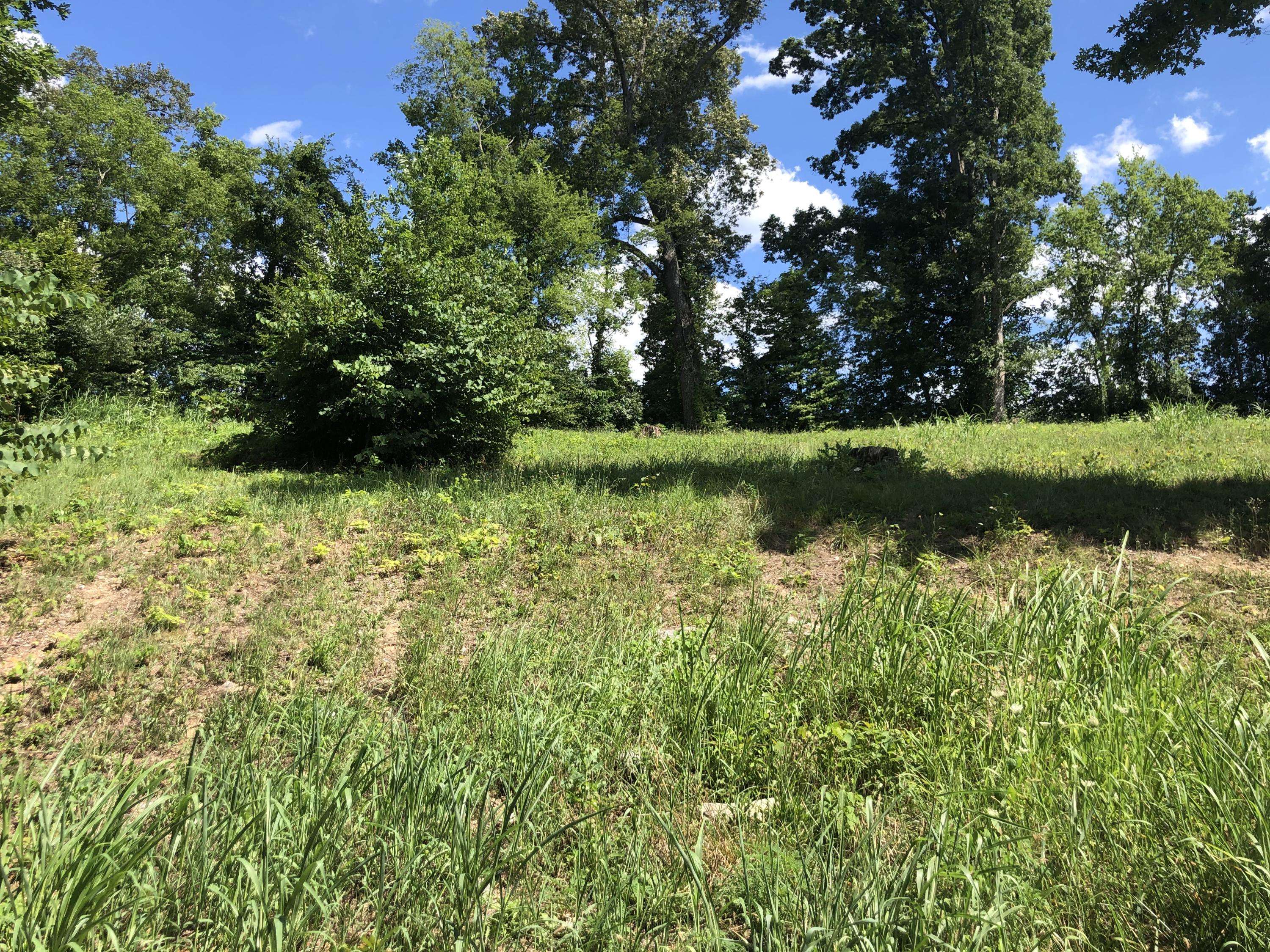 Sevierville, TN 37876,Lot 12 Infinity Lane