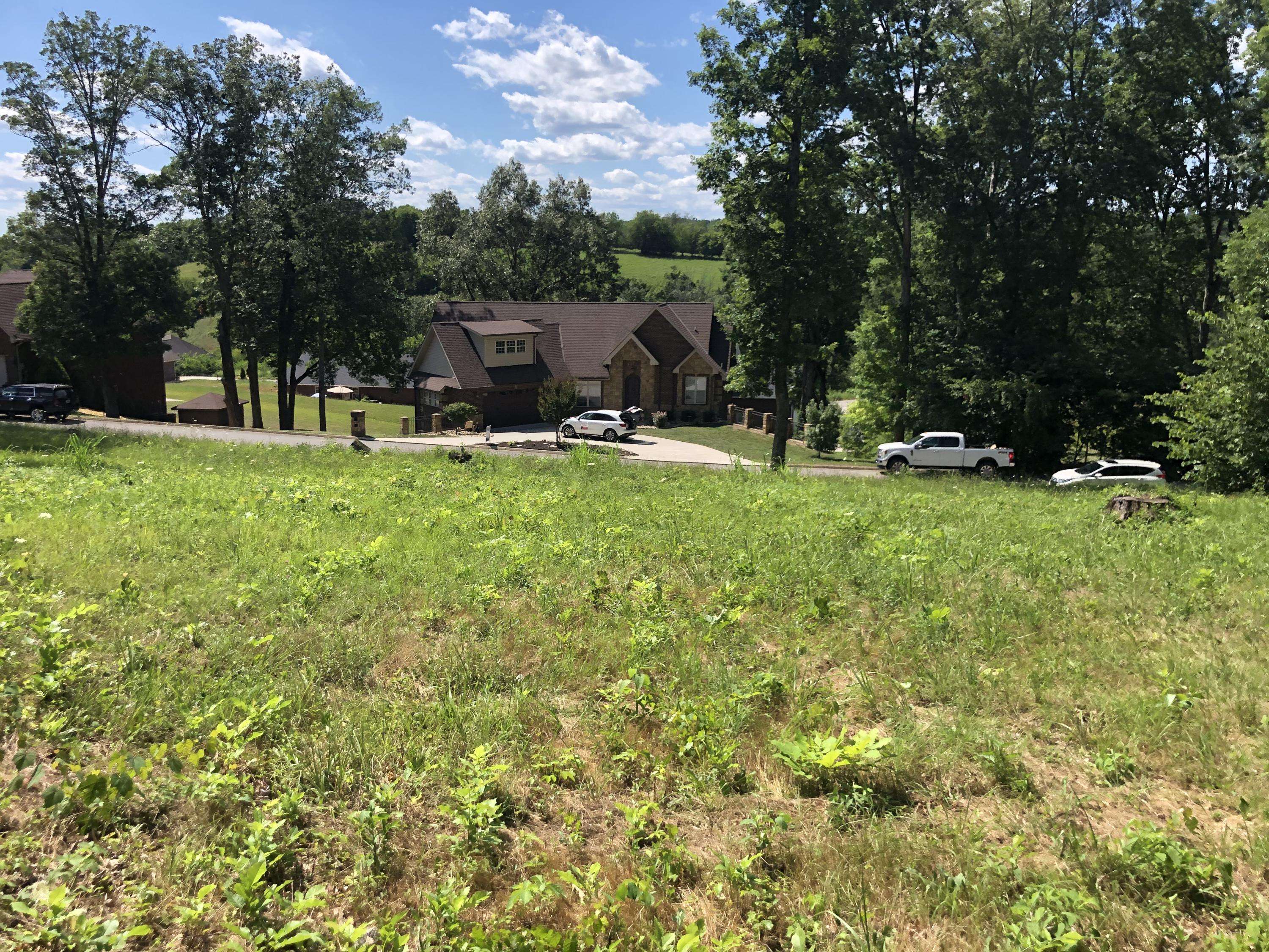 Sevierville, TN 37876,Lot 12 Infinity Lane